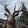 Statue Deer Bronze 2,80 m - Image 12