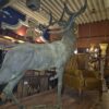 Statue Deer Cast Iron 1,73 m - Image 19