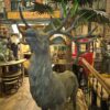 Statue Deer Cast Iron 1,73 m - Image 16