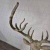 Statue Deer Bronze 1,55 m - Image 15