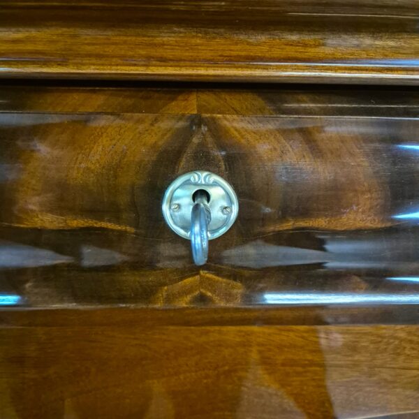 Silver Cabinet Biedermeier 1850 Mahogany - Image 7