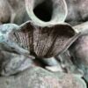 Water Feature "Schell" Bronze 1,53 m - Image 5