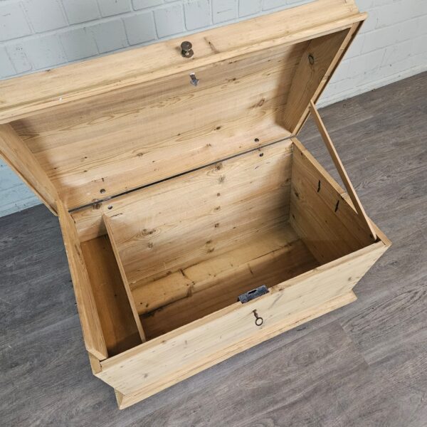 Chest Jugendstil 1910 Pine - Image 9