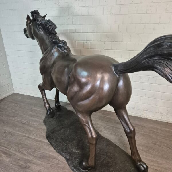 Statue Horse Bronze 1,77 m - Image 14