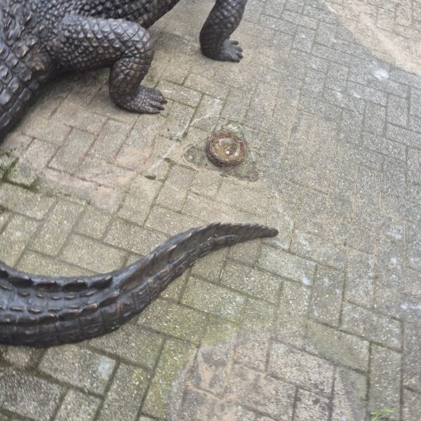 Statue Crocodile Bronze 2,10 m - Image 7