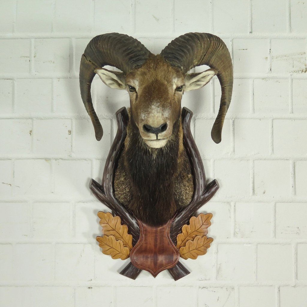 Hunting Trophies