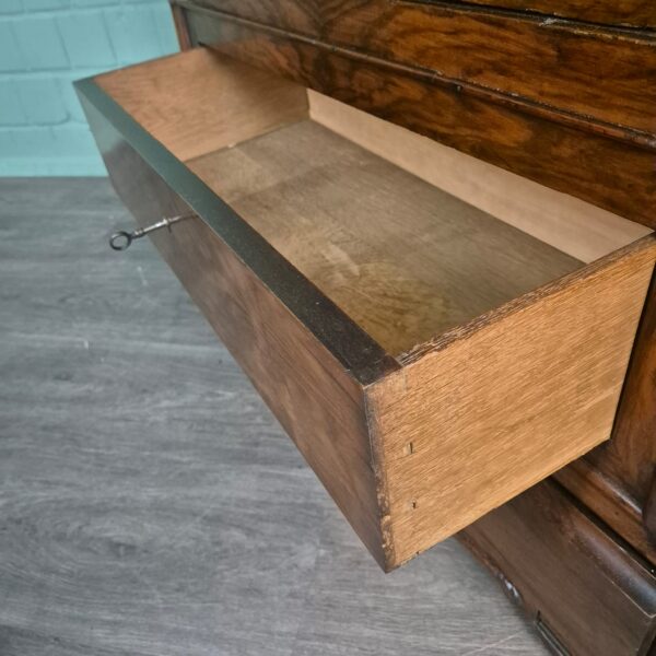 Display Cabinet Late Biedermeier 1850 Walnut - Image 15