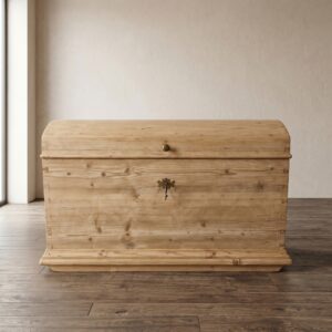 Chest Gründerzeit 1880 Pine