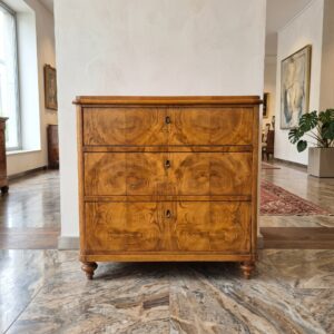 Chest of Drawers Late Biedermeier Ash Wood 1850