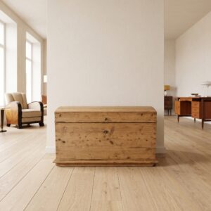 Chest Gründerzeit 1880 Pine