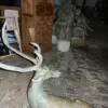 Skulptur Figur Hirsch Bronze 1,26 m